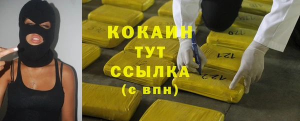 дживик Абаза
