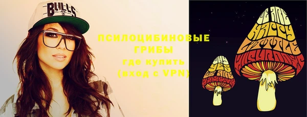 дживик Абаза