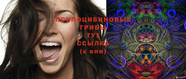 индика Абдулино