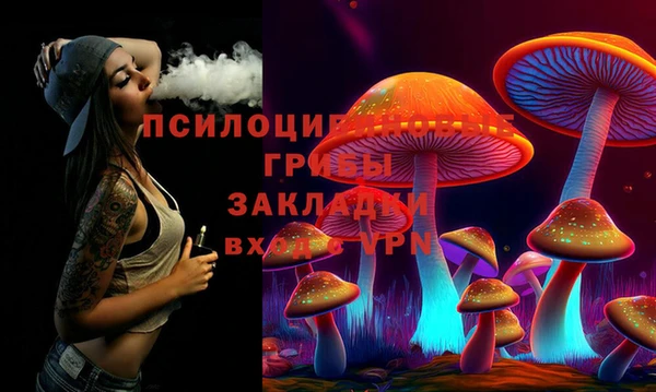 дживик Абаза