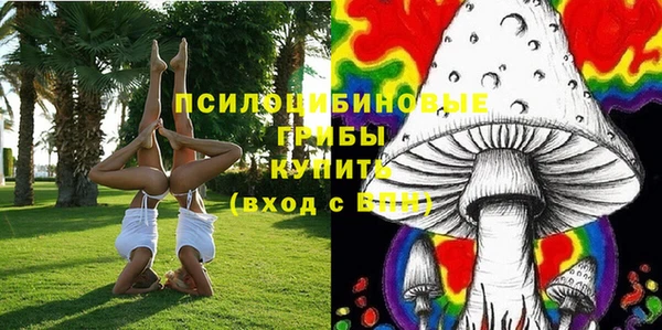 дживик Абаза