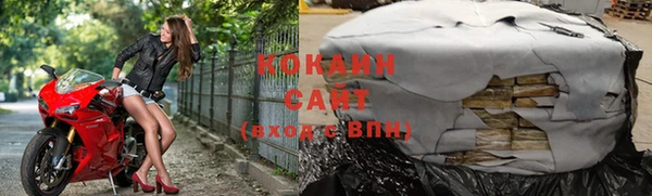 дживик Абаза