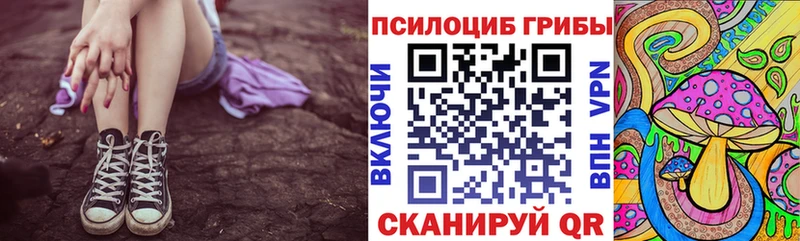 Псилоцибиновые грибы прущие грибы  наркотики  Зубцов 